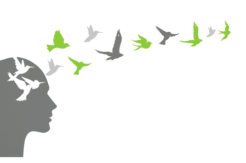 Natural Mente Psicologia